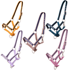 Halfter für Fohlen und