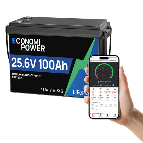 24v 100ah lifepo4 - 100ah,