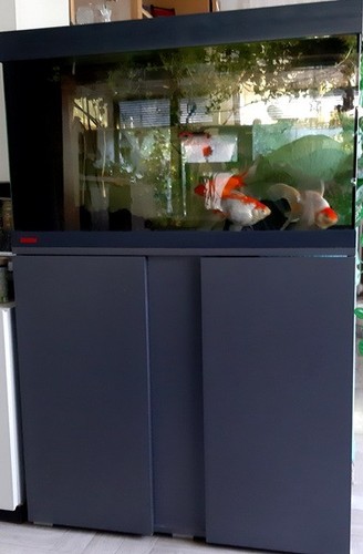 Aquarium komplett mit - komplett,