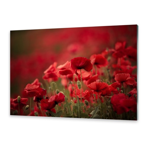Glasbilder wandbild druck auf - wandbild,