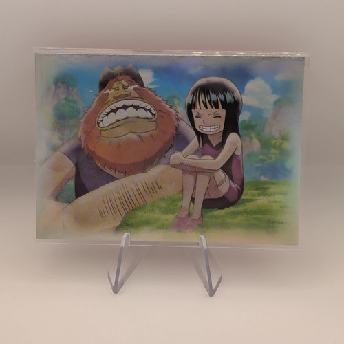 Panini one piece - panini, 25th