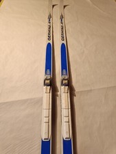 Schuppen Skilanglaufski