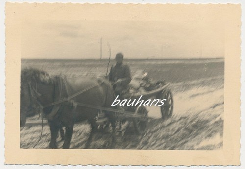 Foto russland pferdegespann - ,