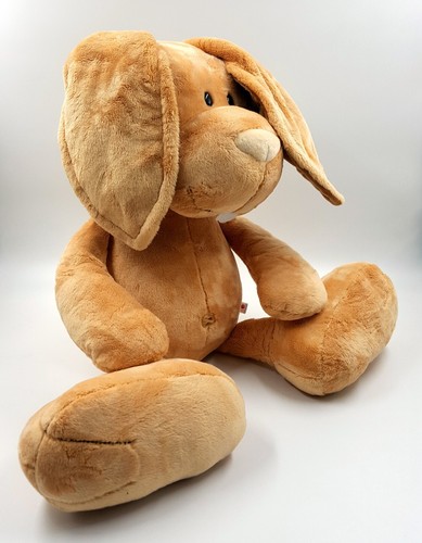 Nici hase ralf - hase,