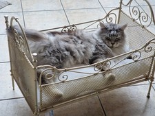 antikes Puppenbett Katzenbett