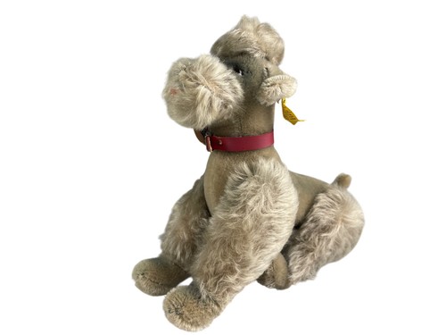 Steiff tier 4435 hund pudel - tier, 4435/22