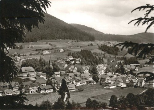Mitteltal - ,