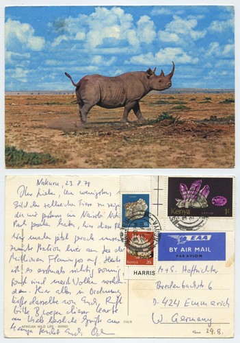 119898 nashorn rhinozeros - -,