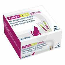 Porus one Nierenversagen Urämie Nierengesundheit Katze