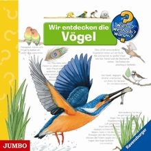 Wir entdecken die - entdecken, von