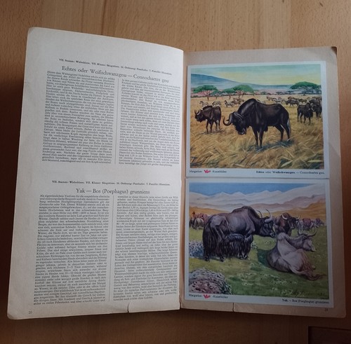 Sammelalbum kunstbilder - sammelalbum,,