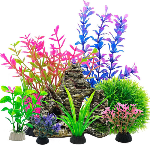 Aquariumpflanzen und