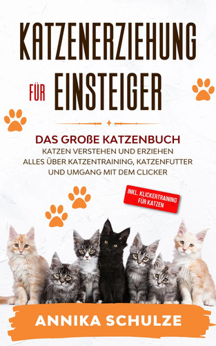 Katzenerziehung für