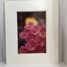 Original William Eickhorst