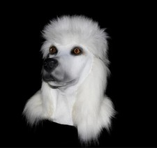 WEISS Pudel Hund Maske Latex