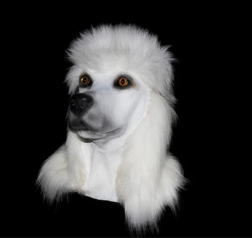 Weiße pudel hund maske - hund,