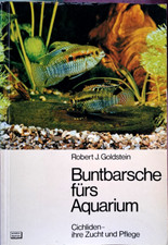 Buntbarsche fürs aquarium - buntbarsche,