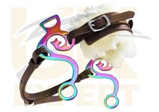 UK Expert Regenbogen Barock