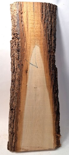 Lindenholz brett mit rinde - lindenholz,