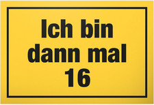 Schild 30x20cm 16. Geburtstag