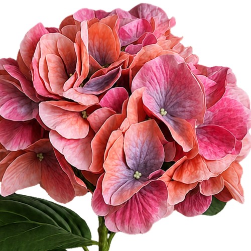 Künstliche hortensie 64cm - künstliche,