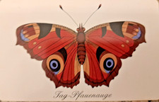 PD 15  98 - Sammlungsauflösung - Telefonkarte, TK, Tag-Pfauenauge  Schmetterling