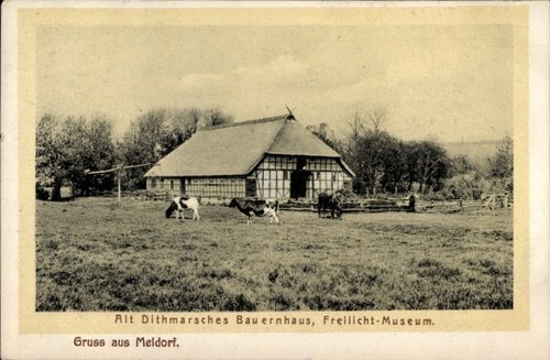Meldorf holstein - in,