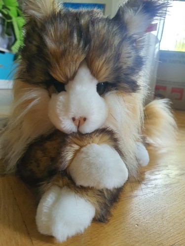 Original steiff katze pharao - original,