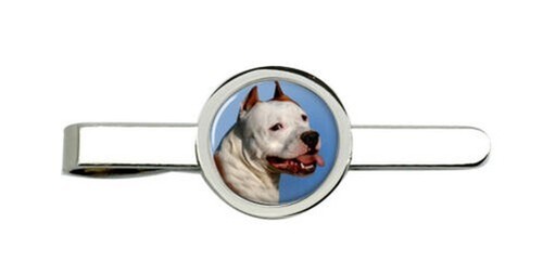 Amerikanisch staffordshire - amerikanisch,