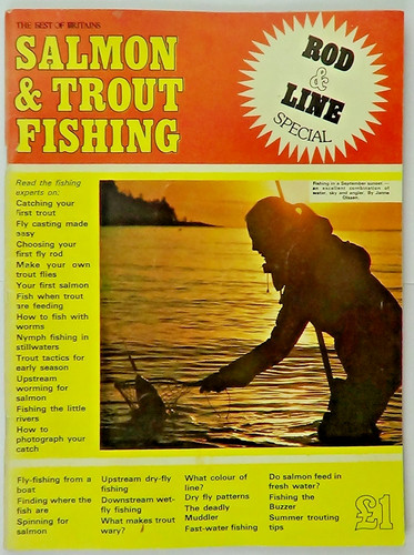 Salmon trout fishing rod - &,