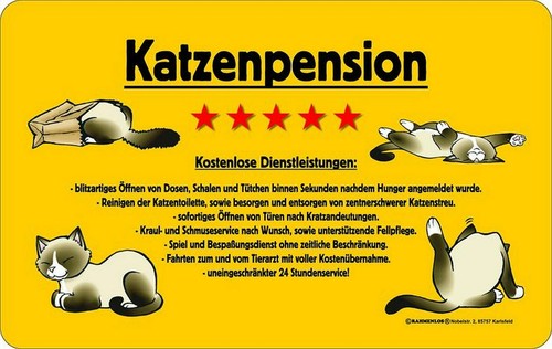 Brettchen katzenpension - brettchen,