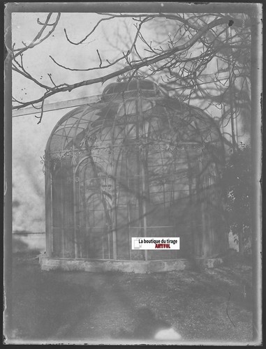 Vitrine gewächshaus alte - vitrine,, gewächshaus,