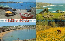 R066277 Scilly-Inseln. F. E. Gibson. 1971. Multi View