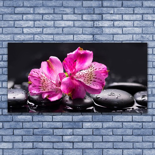 Acrylglasbilder wandbilder aus - acrylglasbilder,