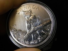 1 oz Silber Canadian Wildlife