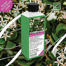 Geldbaum-Dünger, Crassula