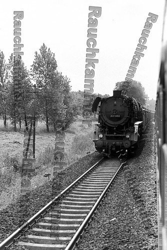 Fotoabzug 10x15 44 - pe-fotoabzug, dr