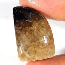 Indonesien VERSTEINER Palmenachat ausgefallene Form NATÜRLICH lose...