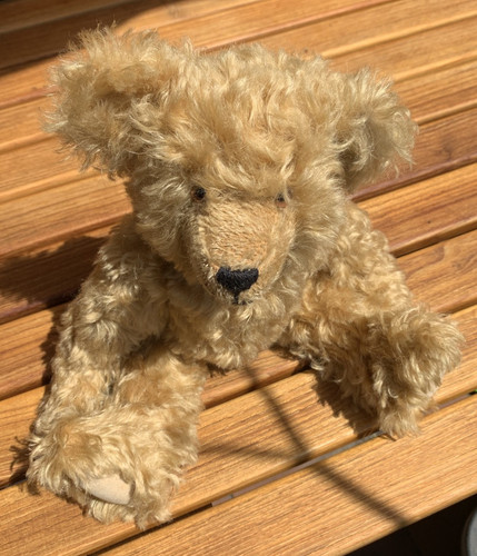 Kuscheliger teddybär bär - kuscheliger,