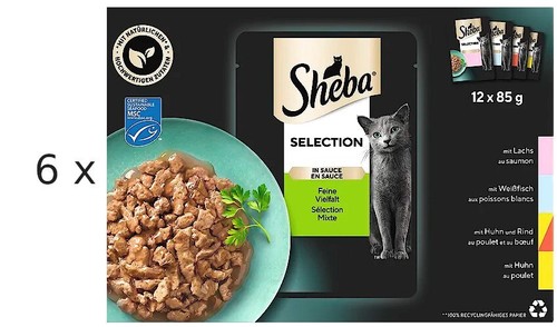 Sheba selection in - 85, g