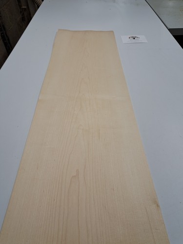 Ahornfurnier naturholz - -,