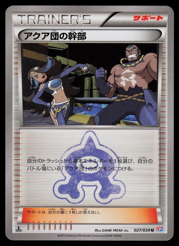 Pokemon team aqua - pokemon,