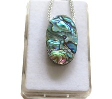 Paua Muschel Abalone Cabochon
