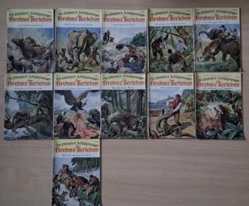 Romane die schönsten - romane,