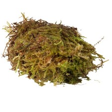 Habistat sphagnum moss 1kg - sphagnum,
