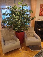 B&B Italia: Model Florence