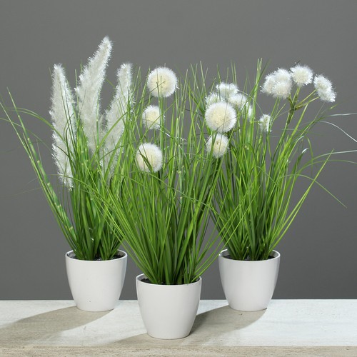 3er gras set - 3er, und