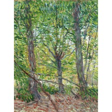 Vincent Van Gogh Trees and