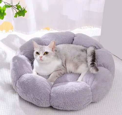 Plüsch katzenbett hundebett - katzenbett,