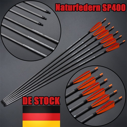 Carbonpfeile sp400 - 32",